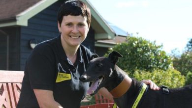 Dogs Trust Shrewsbury offers free workshops to school children