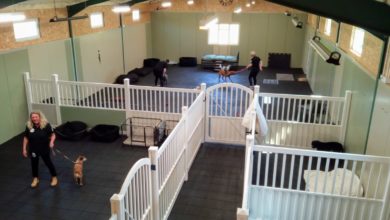 Bedfordshire dog day care centre opens