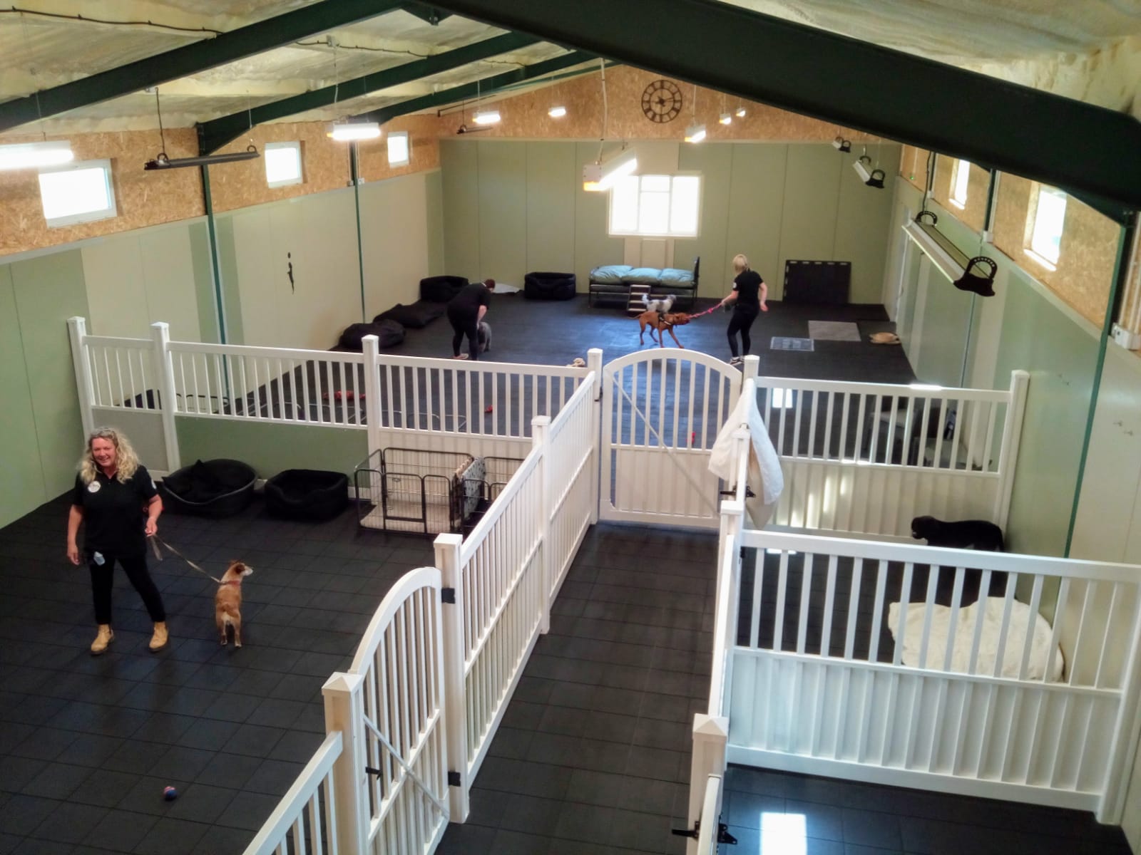 Bedfordshire dog day care centre opens
