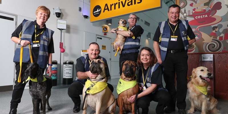 Southampton Airport employs therapy dogs