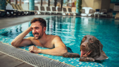 Italy has the highest number of pet-friendly hotels, research suggests