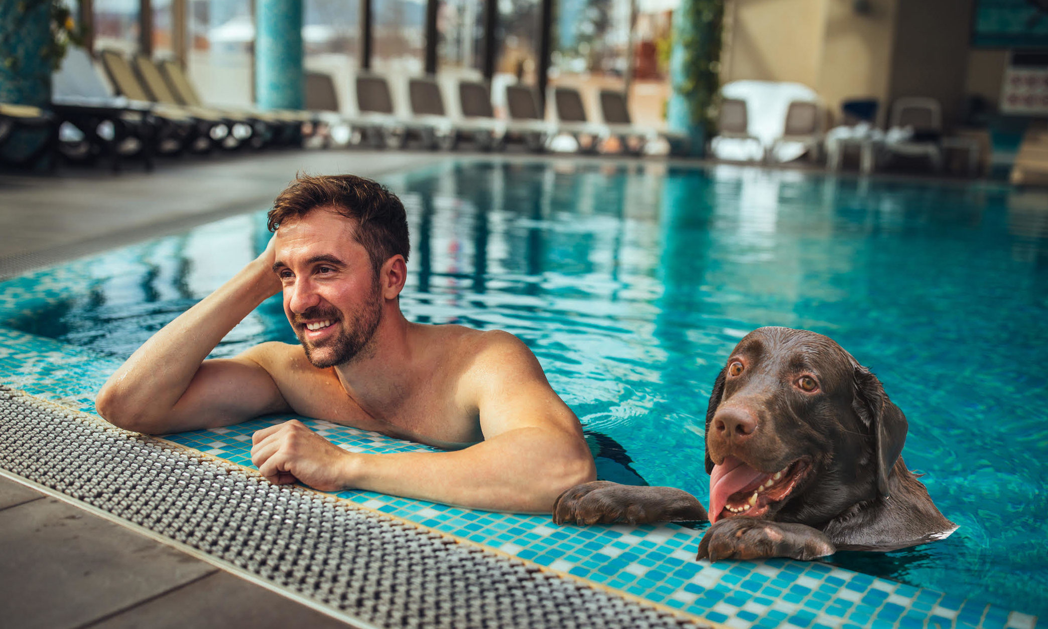 Italy has the highest number of pet-friendly hotels, research suggests