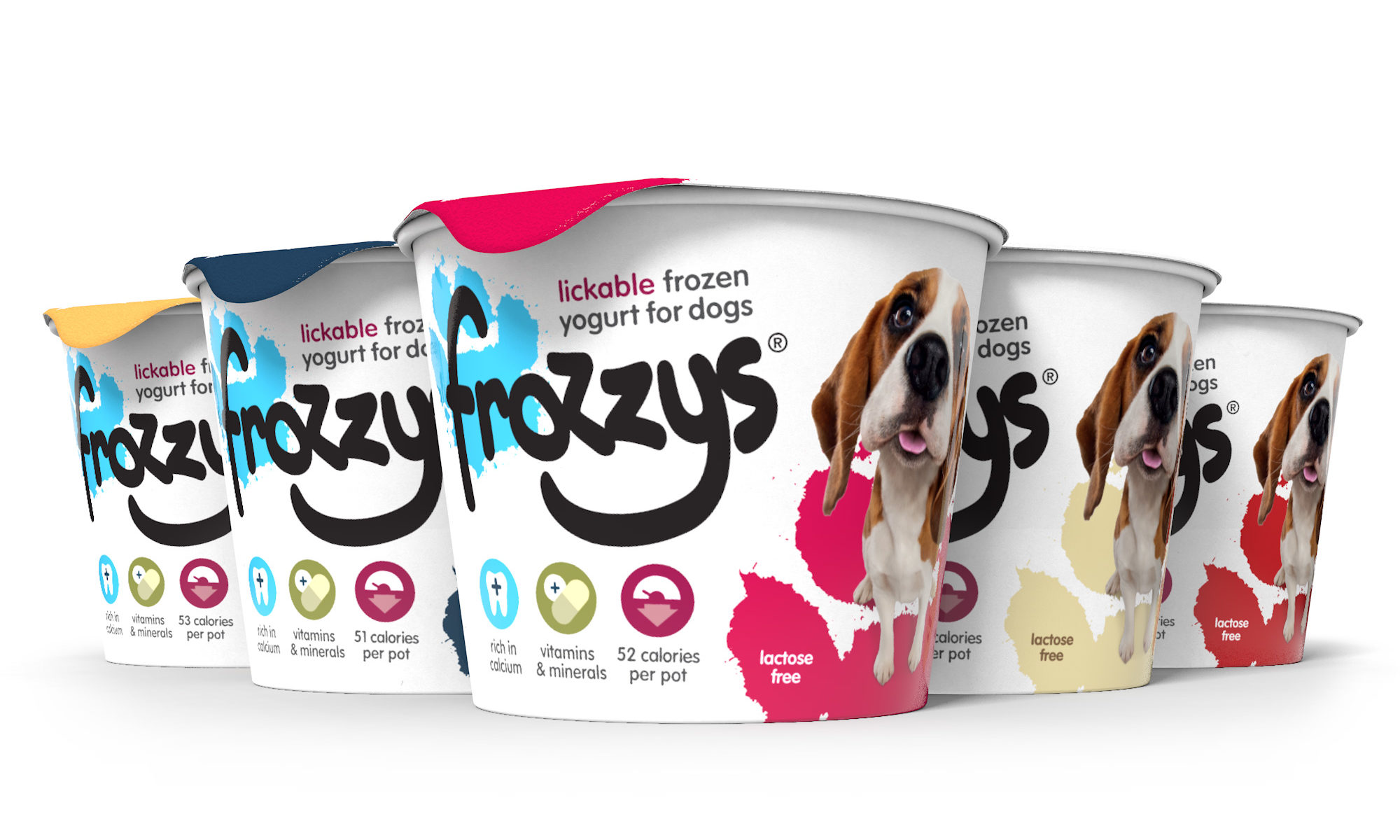 Obesity: a bone to pick with pet owners