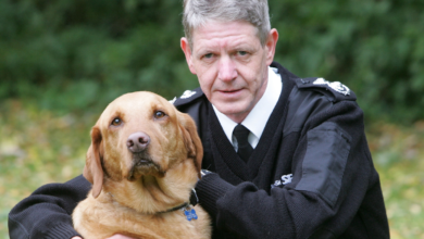 SPCA warns of dangers of social media 