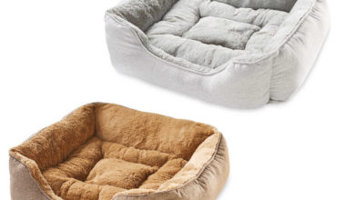 Aldi launches new pet range