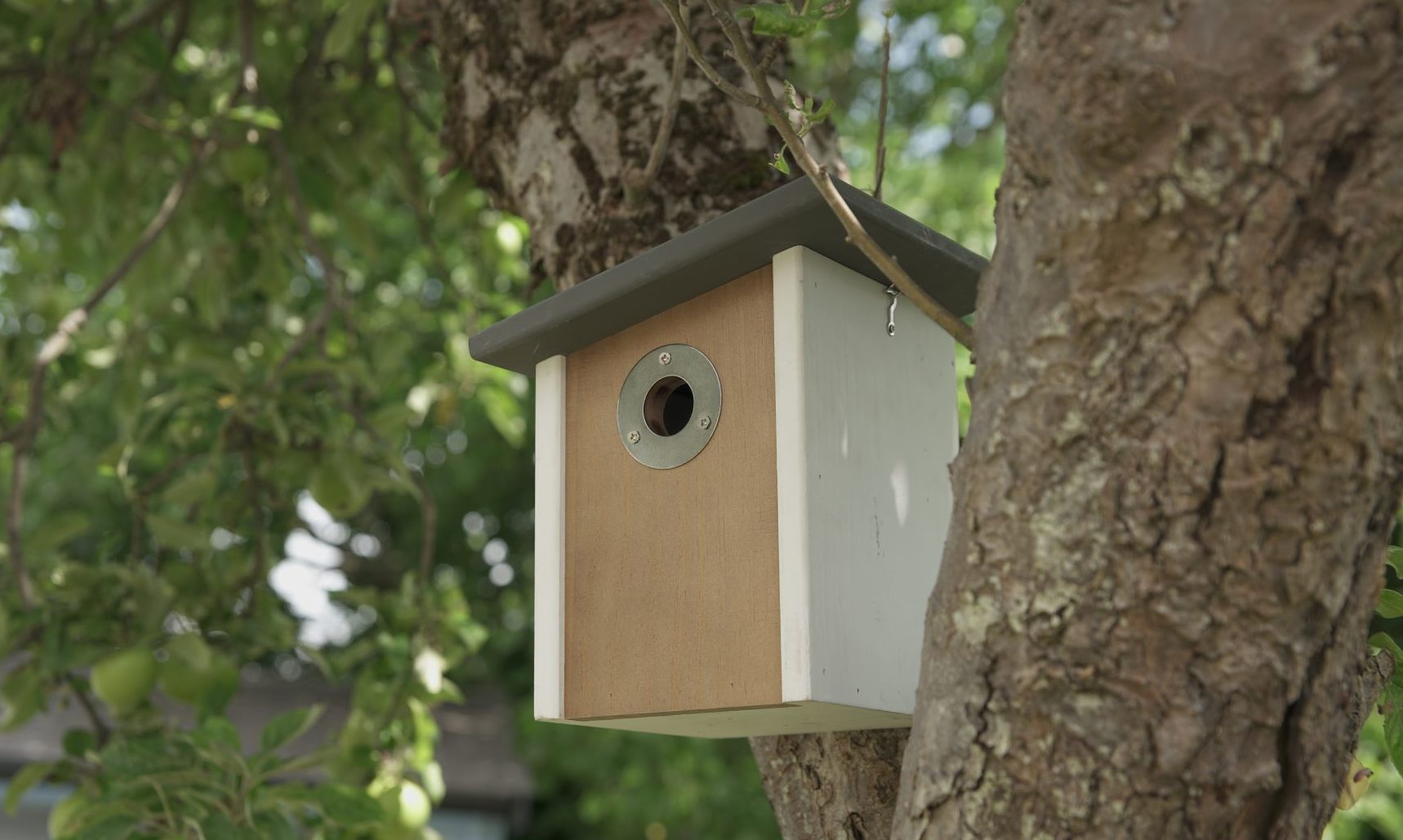 Henry Bell & Co offers advice on nest boxes