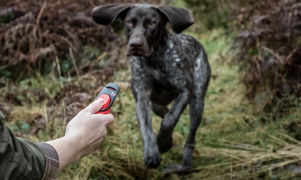 Mikki launches its new 2-in-1 Whistle Clicker