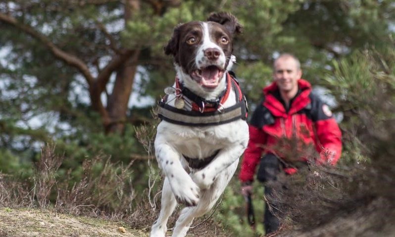 Natural Instinct partners with Oxfordshire rescue charity