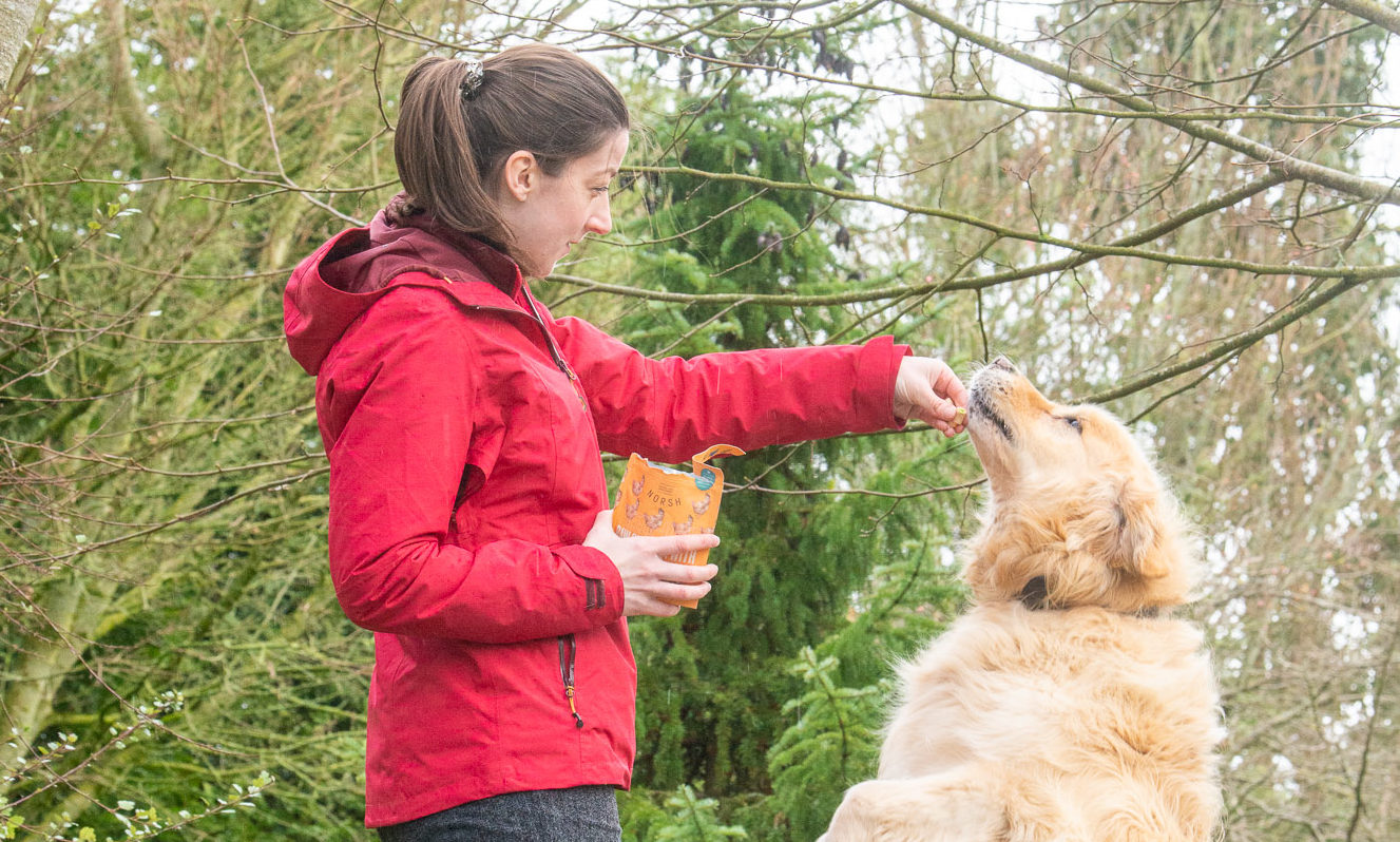 Mackle Petfood launches new ‘Norsh’ range