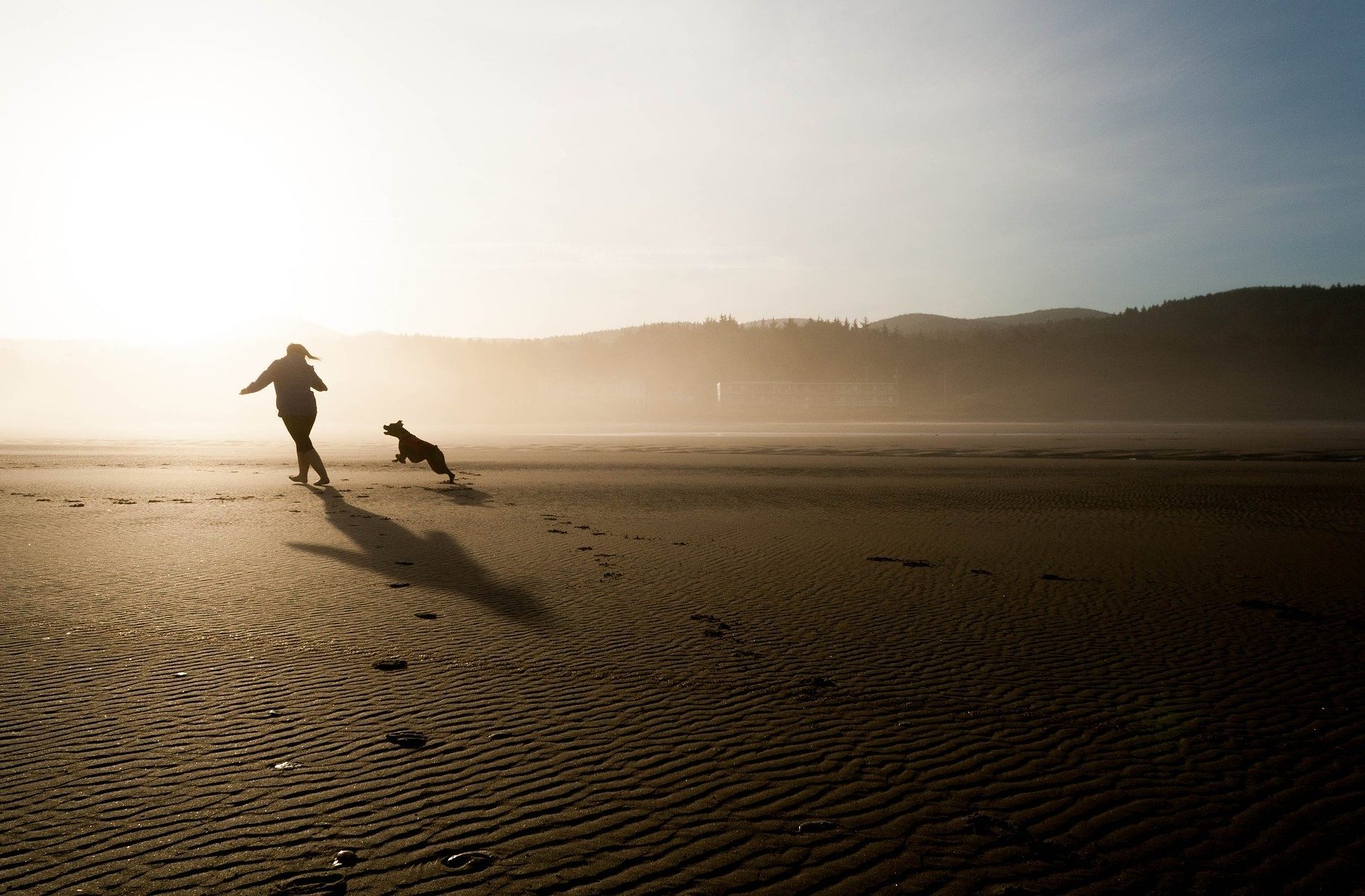 The Kennel Club welcomes Cornwall Council’s new dog-friendly rules