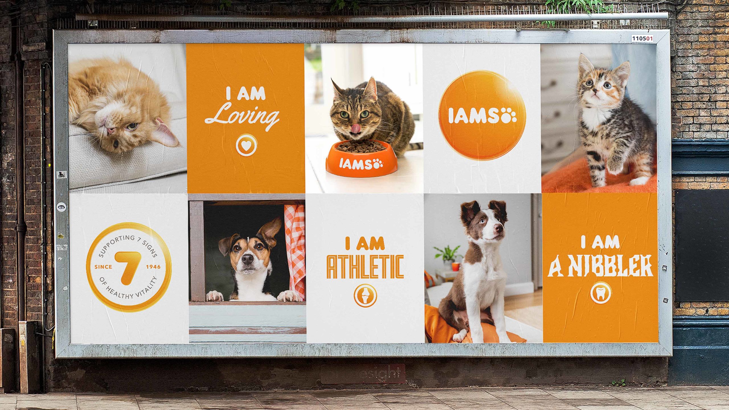 Everyone is having fun in pet packaging, but is the party getting a little loud?