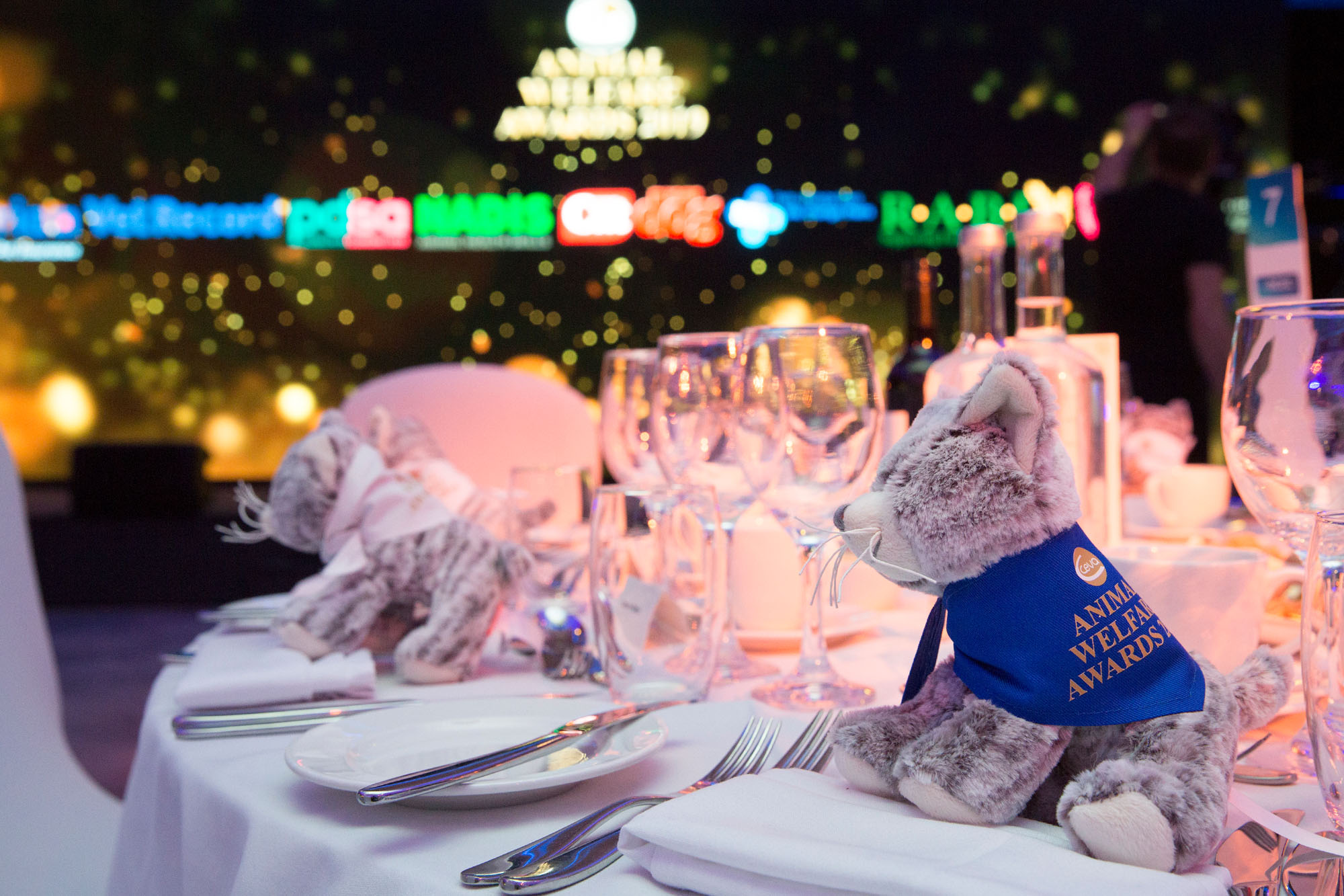 CEVA Animal Welfare Awards postponed amid coronavirus outbreak