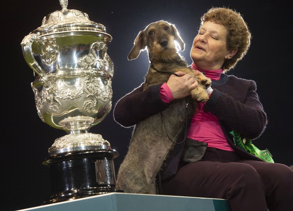 Crufts crowns Best in Show champion