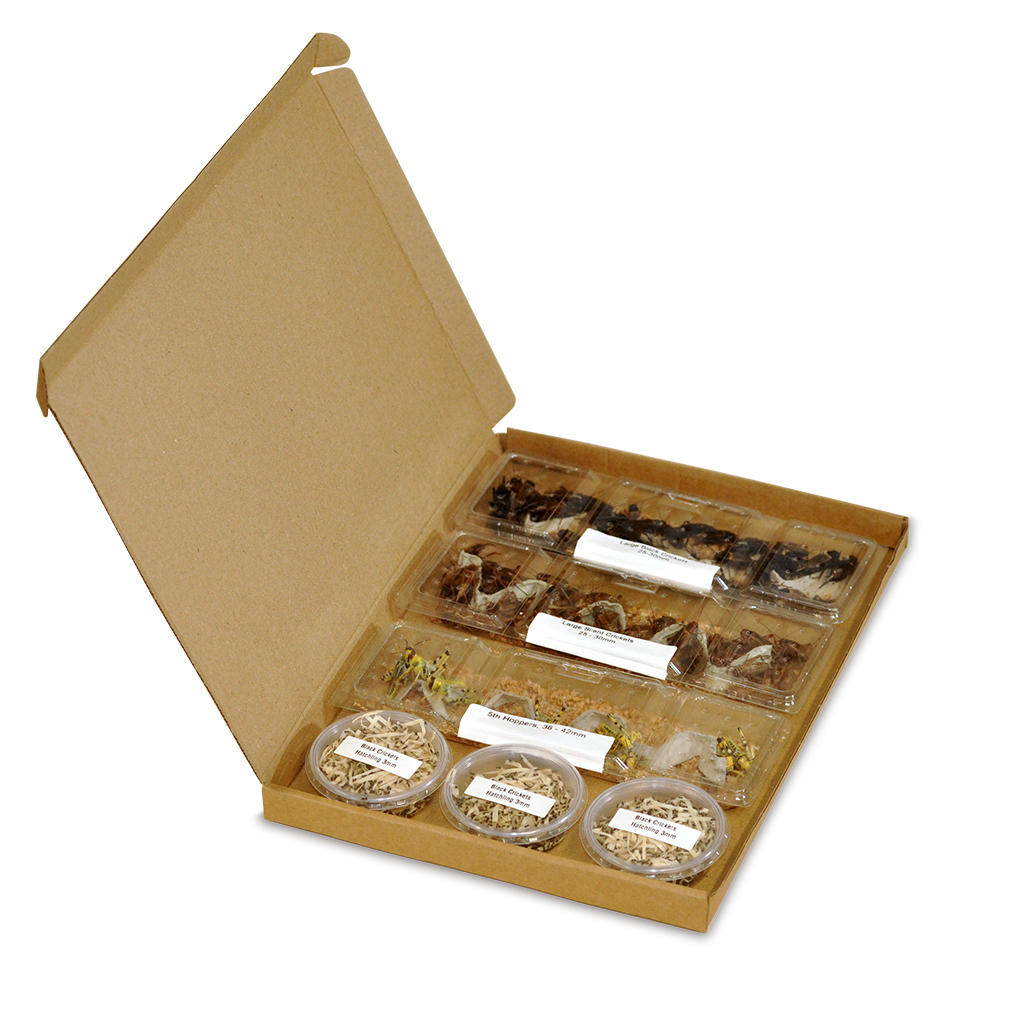 Monkfield Nutrition supports retailers during pandemic 