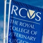 Consultation launched on AI use in veterinary care