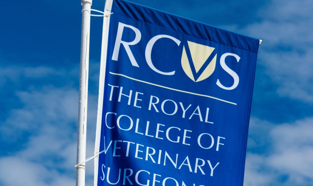 RCVS introduces new postgrad accreditation and QA processes