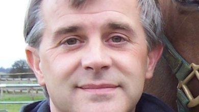 IVC Evidensia appoints new chair of equine clinical board