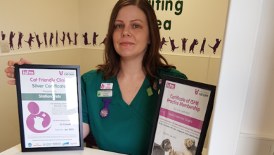 Station Vets awarded Silver Cat Friendly Clinic status