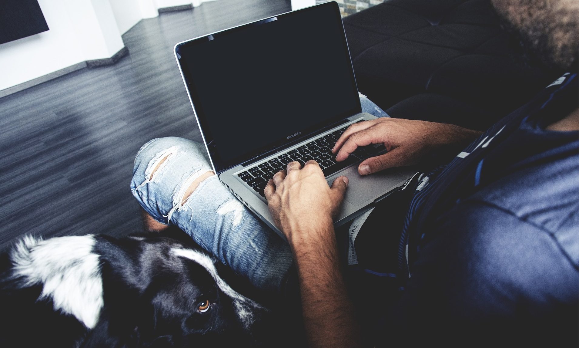 Yumove announces partnership with Pawsquad