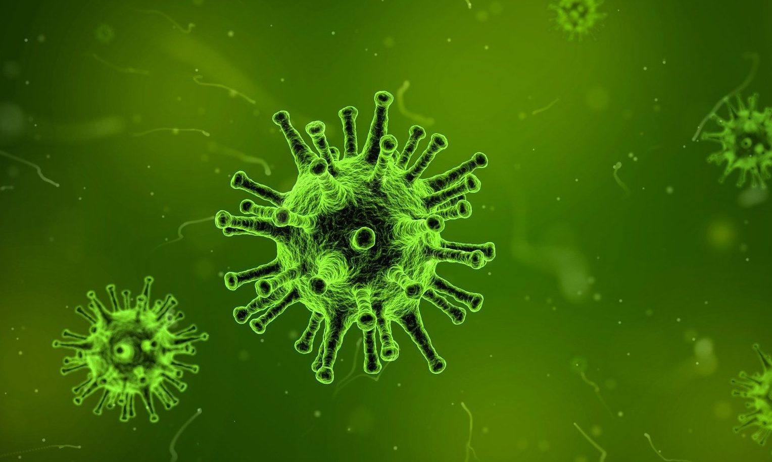 Kennel Club and Charitable and Educational Trusts announce emergency relief fund