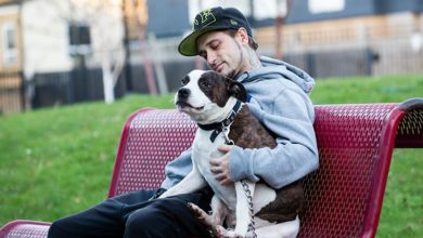Dogs Trust increases support for the homeless pet owners
