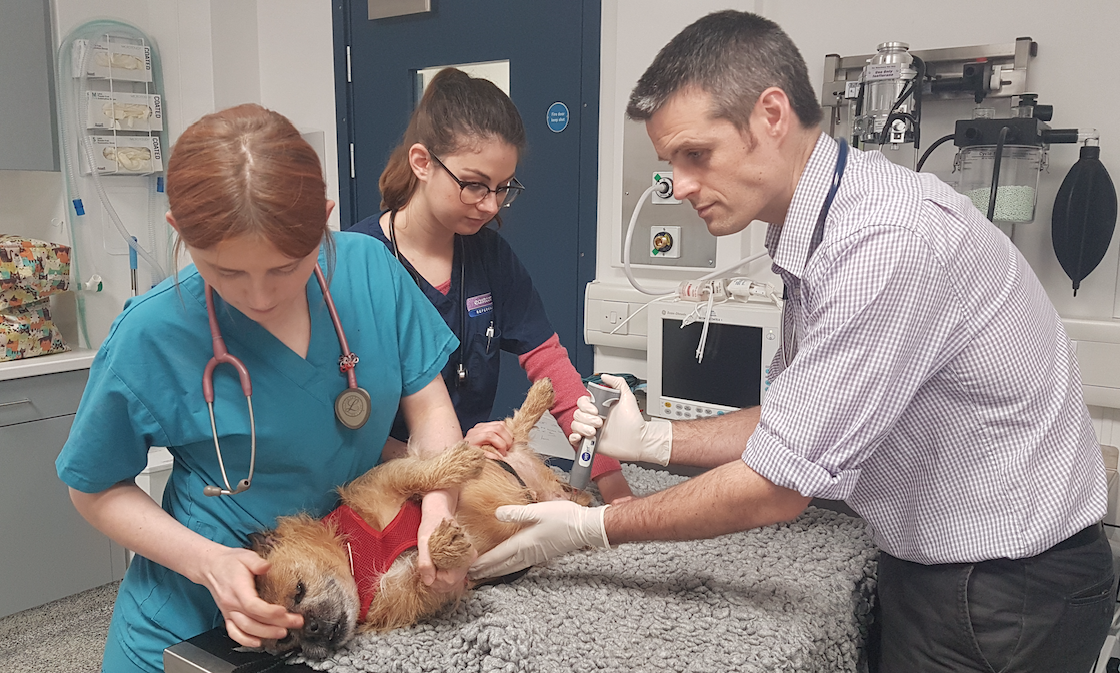 Eastcott expands services by launching specialist-led oncology department