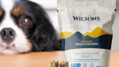 Wilson launches Whitefish Skin Dog Treats range