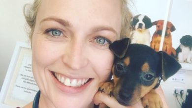 How long can coronavirus live on my pet’s fur?