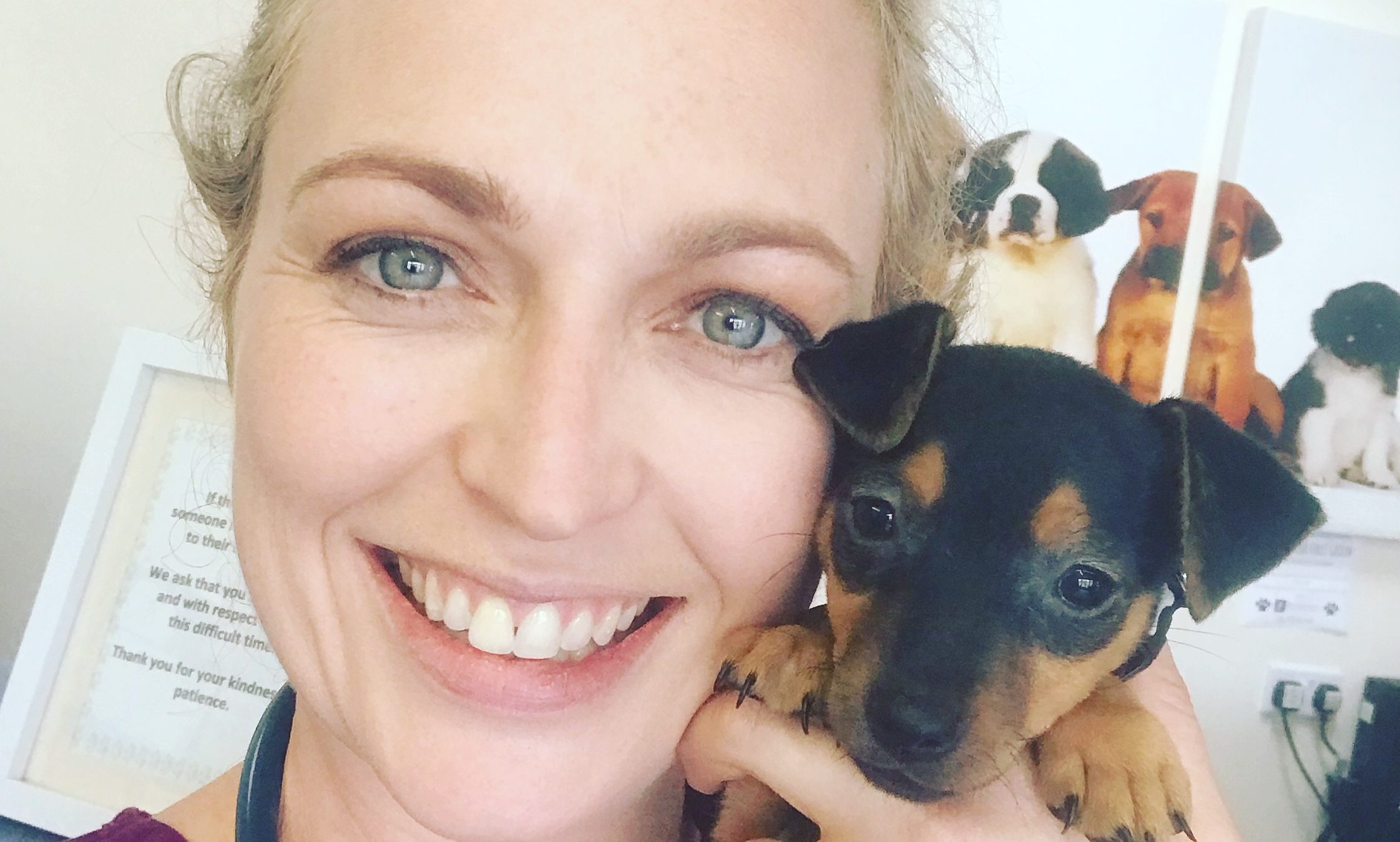 How long can coronavirus live on my pet’s fur?