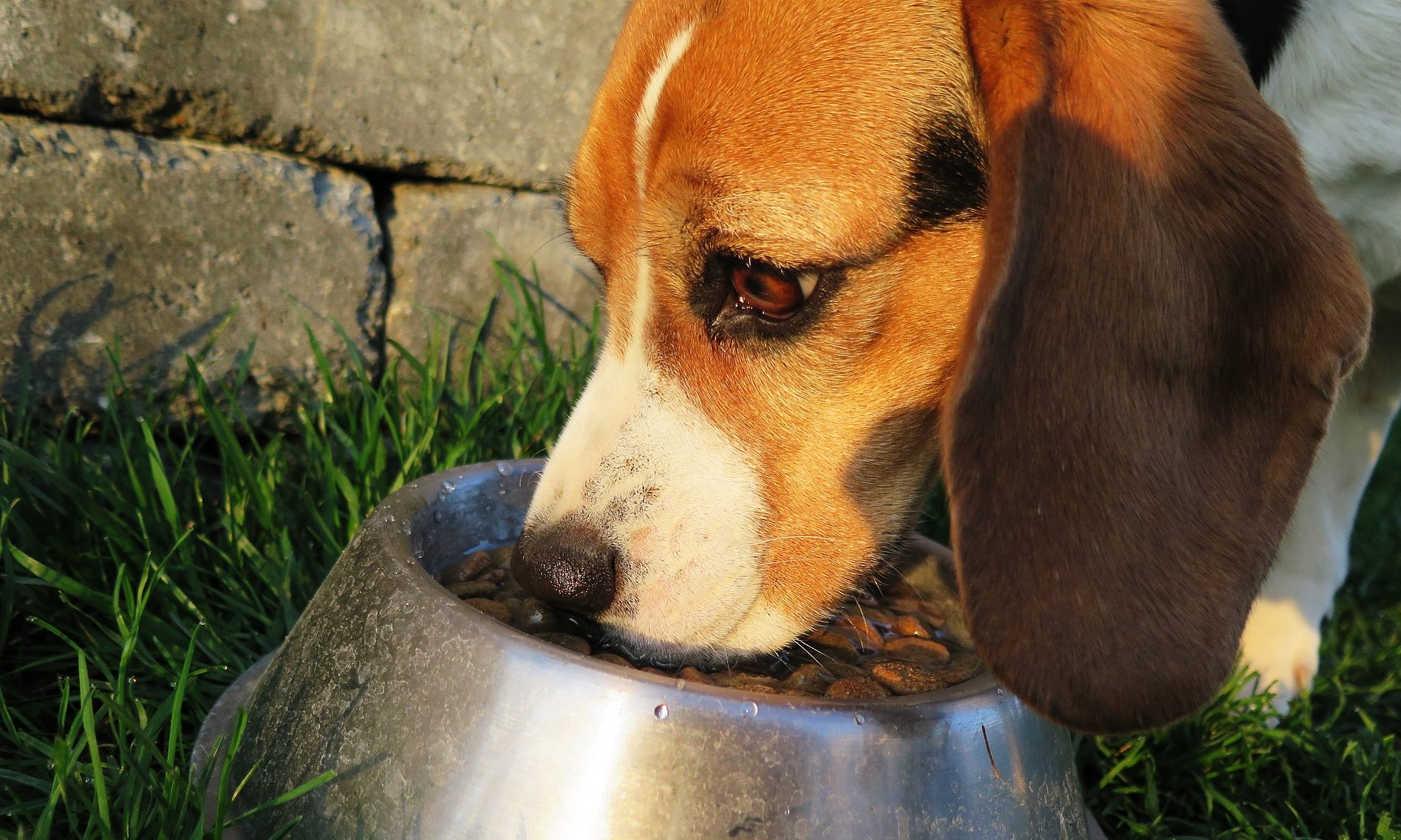 T Forrest appoints head of marketing operations