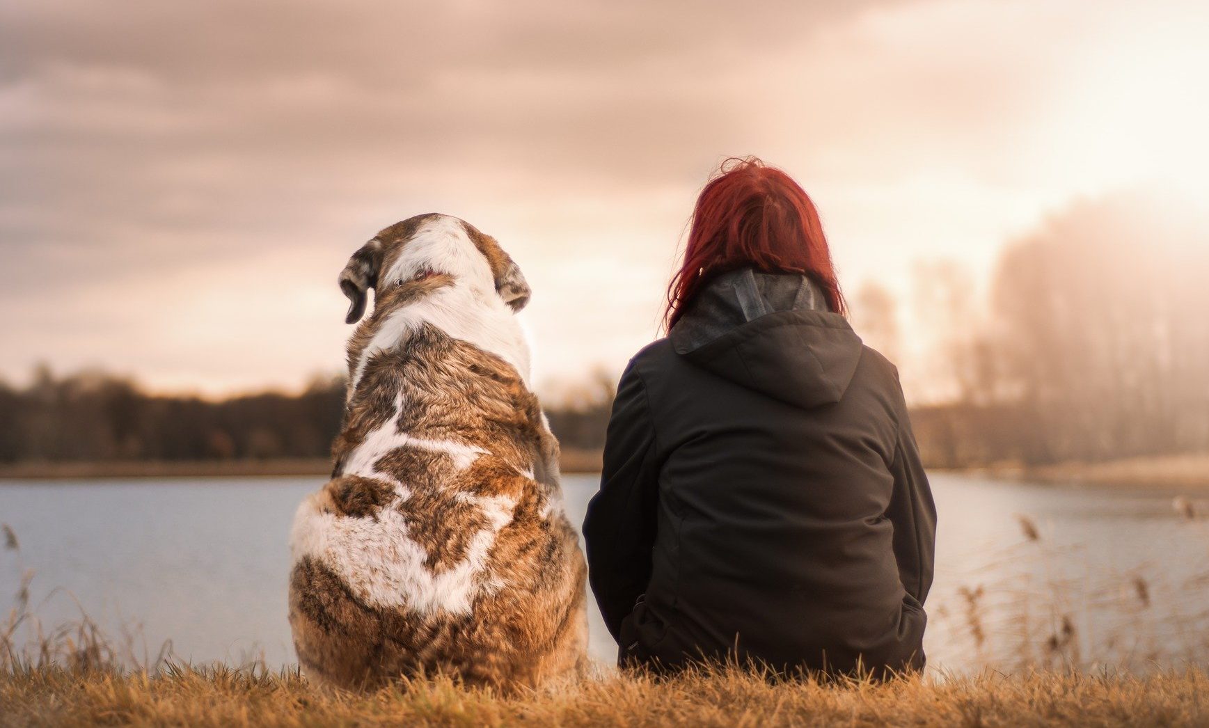 The effect on the pet industry as we adapt to a new normal