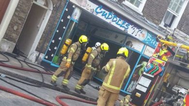 Animals killed in pet shop blaze