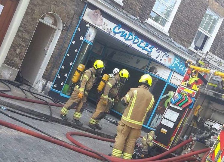 Animals killed in pet shop blaze