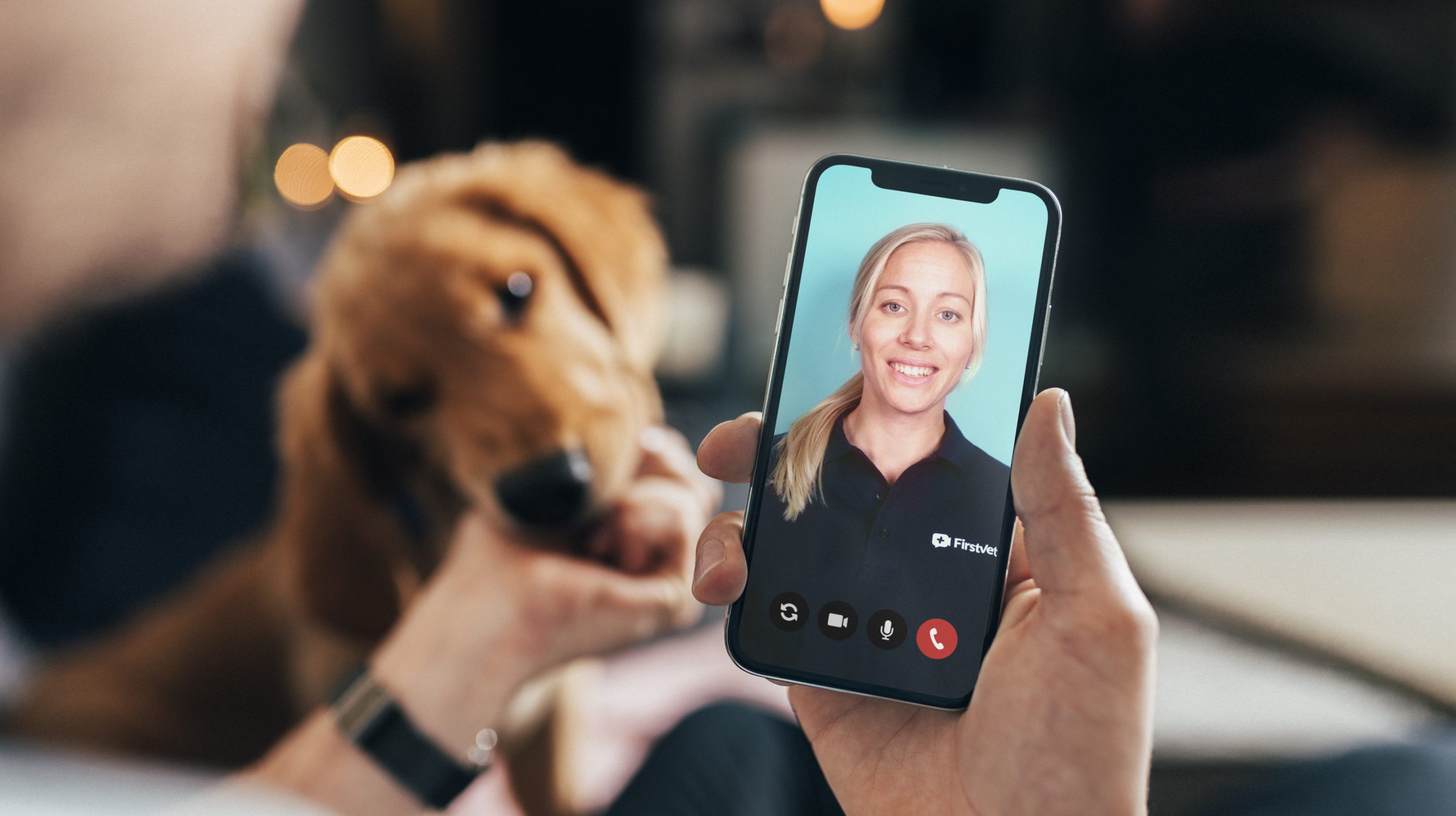 Covéa Insurance partners with FirstVet