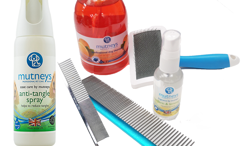 Mutneys Professional Pet Care helps keep dogs healthy amid Covid-19 lockdown