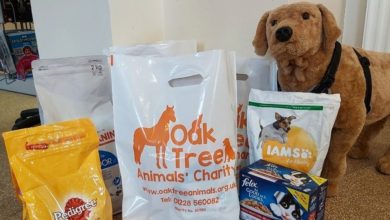 Oak Tree Animals Charity reopens rehoming programme