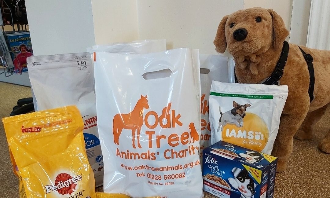 Oak Tree Animals Charity reopens rehoming programme