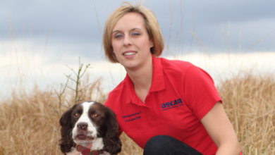 Separation anxiety in dogs after lockdown