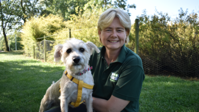 How is the pandemic impacting dog behaviour?