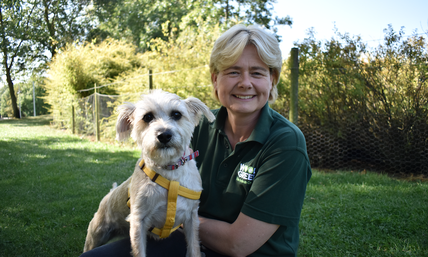 How is the pandemic impacting dog behaviour?