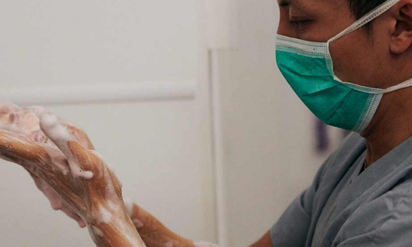 BVA and RCVS respond to government easing lockdown restrictions