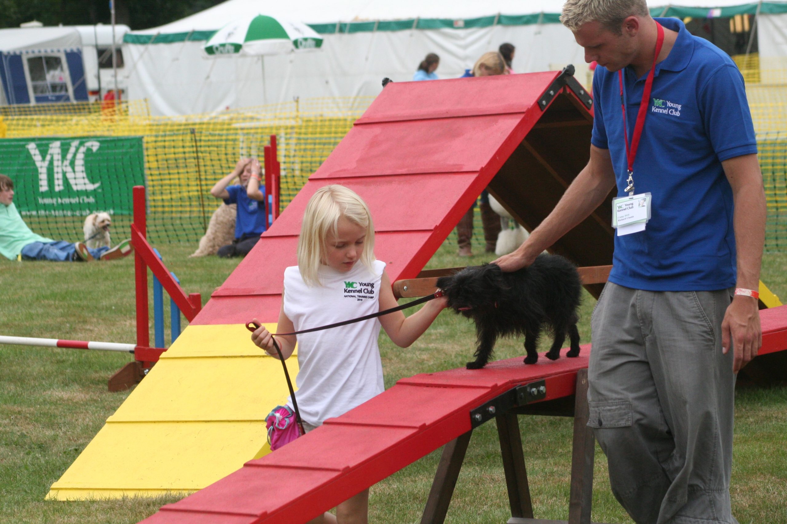 Young Kennel Club Summer Camp cancelled