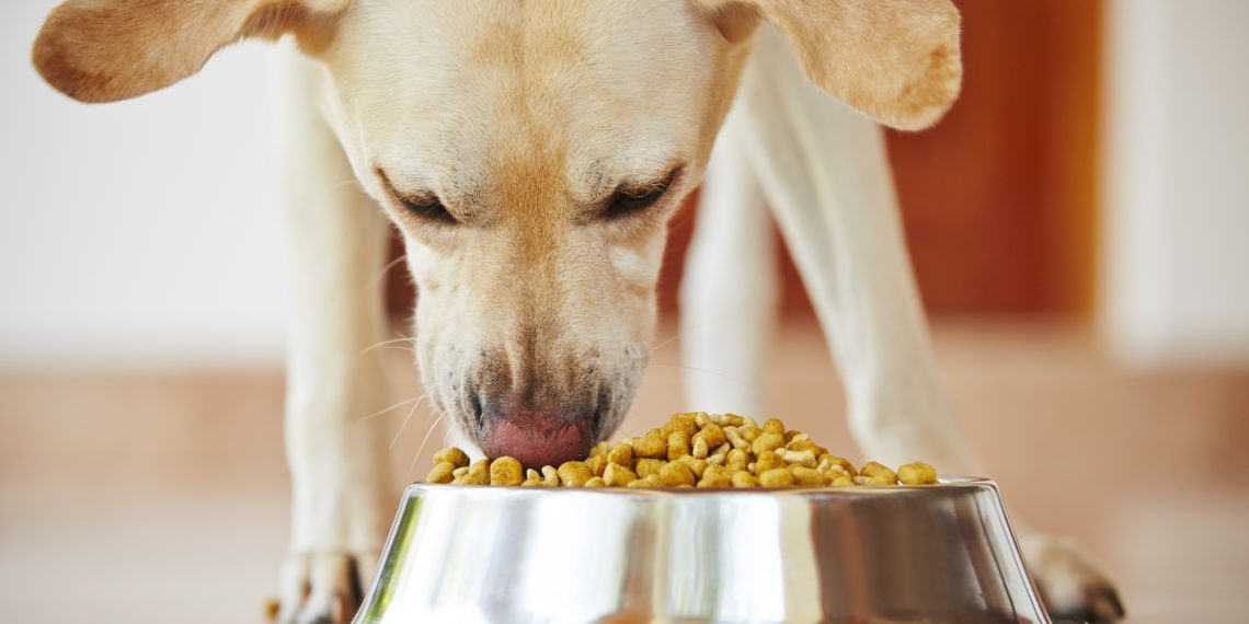 Pet food packaging market to reach £10.2bn by 2025