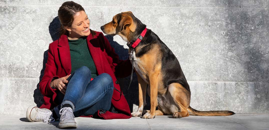 StreetVet shortlisted for Purina prize