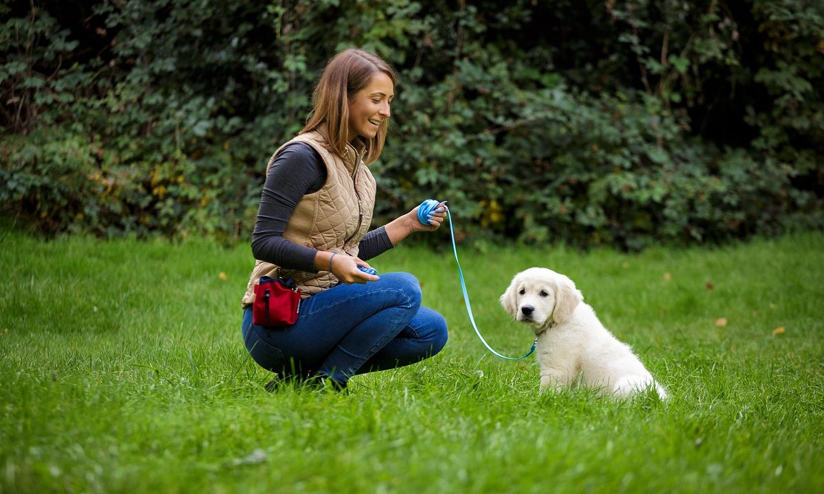 Company of Animals launches periodontal range for dogs