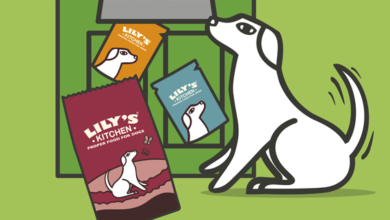 Lily’s Kitchen launches new subscription service