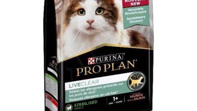 Purina launches ‘revolutionary’ allergen-reducing cat food