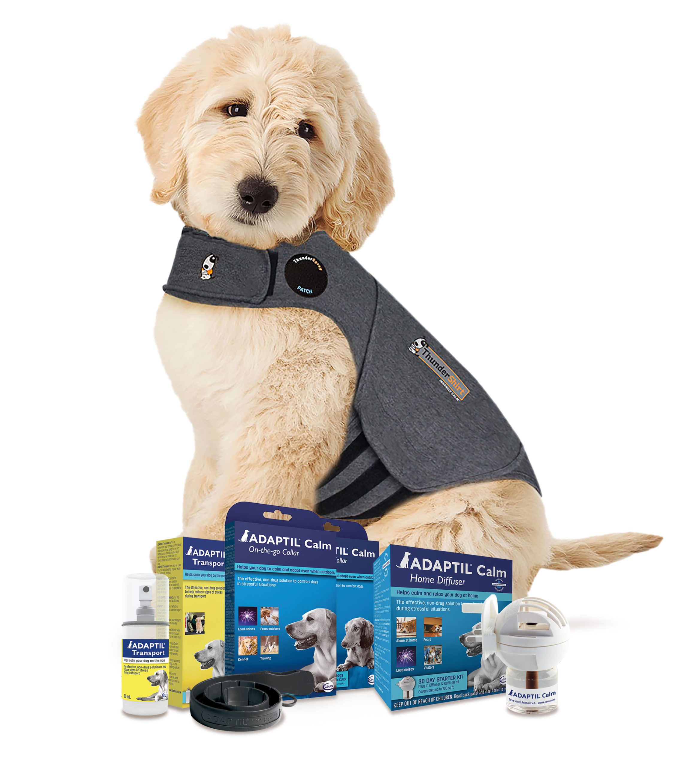 Ceva Animal Health acquires Thunder Works