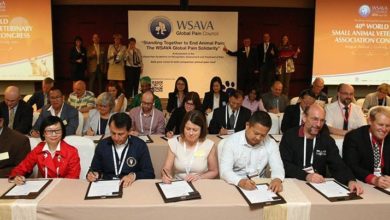 WSAVA World Congress 2020 postponed until 2021