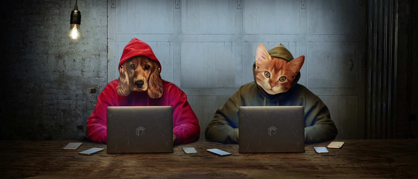 Vets and celebrities campaign against ‘petfishing’